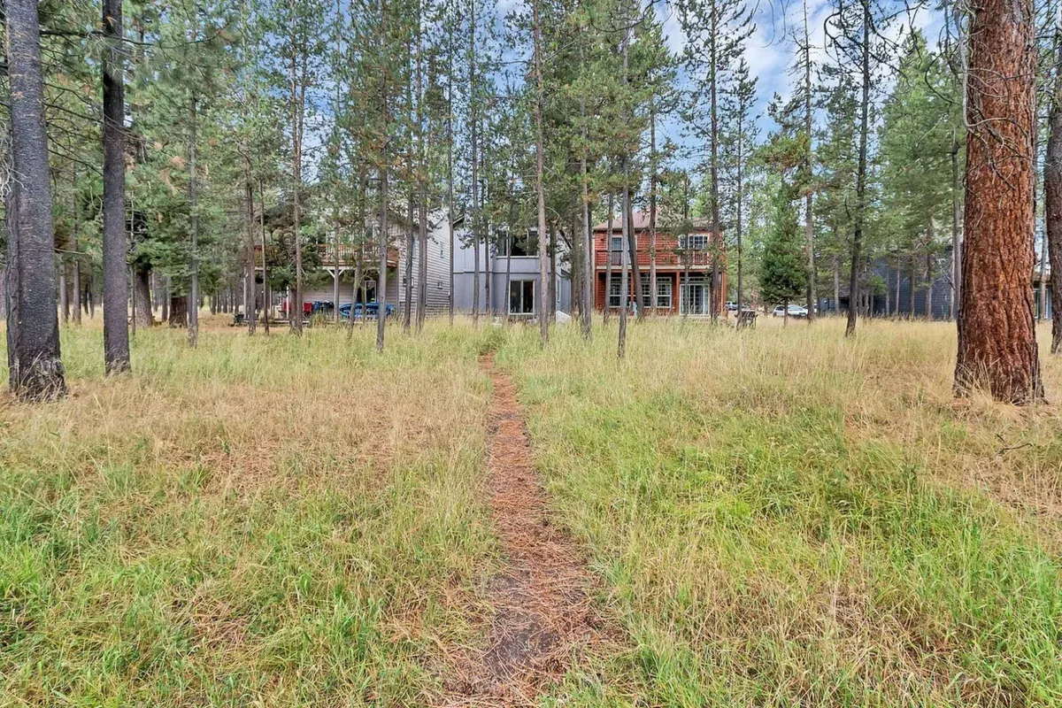 A peaceful pathway leads through the trees to the house, with the architecture of the home nestled in natural surroundings. The scene is imbued with the calming energy of the woods, inviting visitors to explore or pause for tranquil outdoor moments.