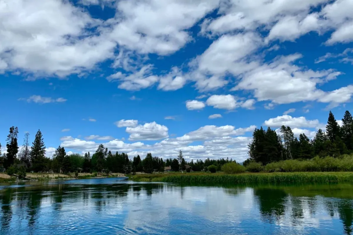 A peaceful river scene with calm water reflecting the blue sky, surrounded by lush green vegetation and distant trees. The setting suggests a perfect backdrop for summer activities like kayaking, fishing, picnicking, and birdwatching.