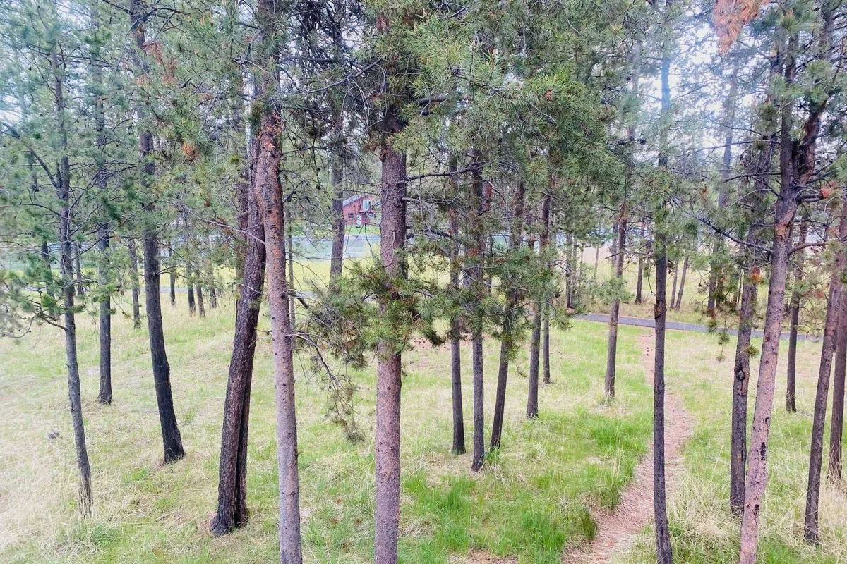 A tranquil exterior scene featuring tall trees, a grassy open area, and a winding pathway leading off into the forest. The natural surroundings evoke a sense of peacefulness and offer visual cues of hiking, exploring, and the opportunity for wildlife sightings right outside the home.